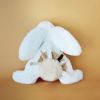 Peluche avec coffret lapin beige Happy Wild (25 cm)  par Doudou et Compagnie