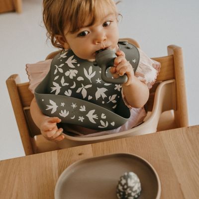 Sucette grignoteuse birdy et 4 embouts