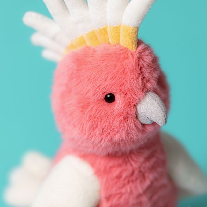 Peluche Cacatoès (16 cm) Jellycat Ambiance 6