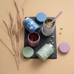 Thermos alimentaire Crocodile (300 ml)