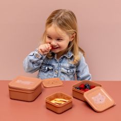 Lot de 3 boîtes à goûter Mrs. Cat