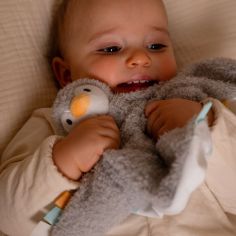 Doudou Martin le Pingouin