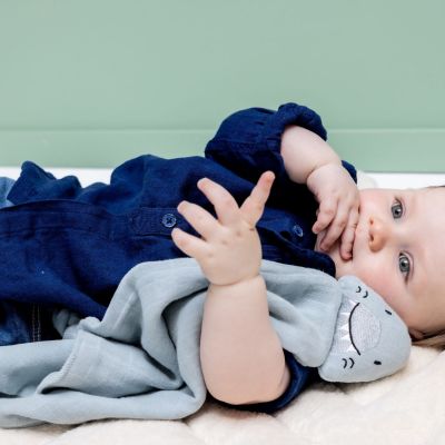 Doudou plat Bliss Mr. Shark