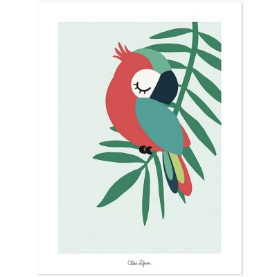 Affiche perroquet vert (30 x 40 cm)