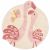 Variation Rose, beige du produit Tapis Flamant rose (110 x 110 cm) de la marque Little Dutch