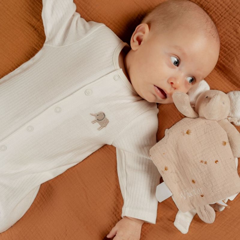 Lot de 3 pyjamas Jersey Eléphants (naissance) Noukie's Ambiance 6