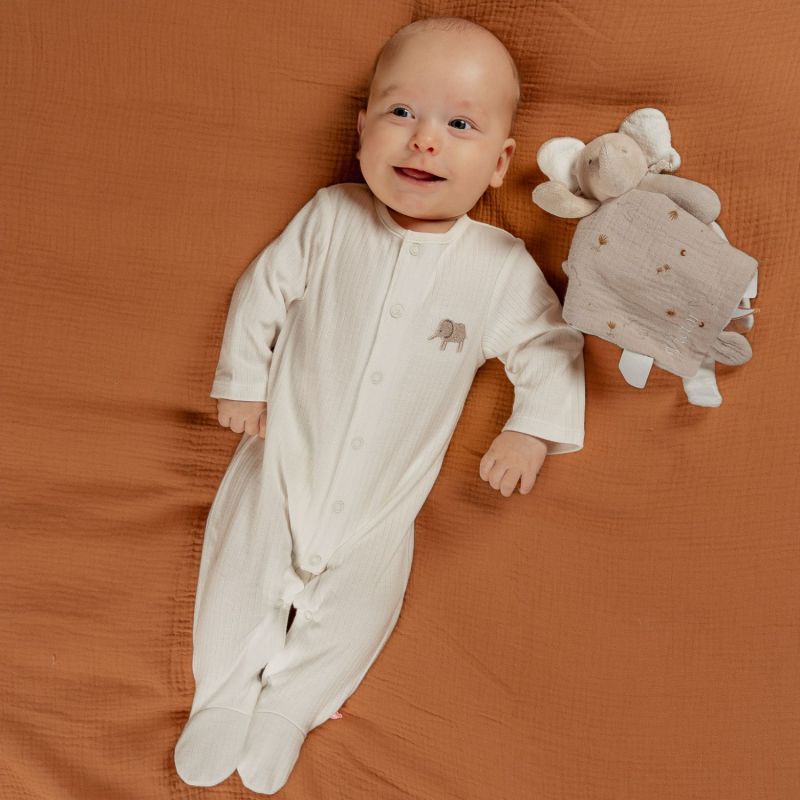 Lot de 3 pyjamas Jersey Eléphants (naissance) Noukie's Ambiance 7