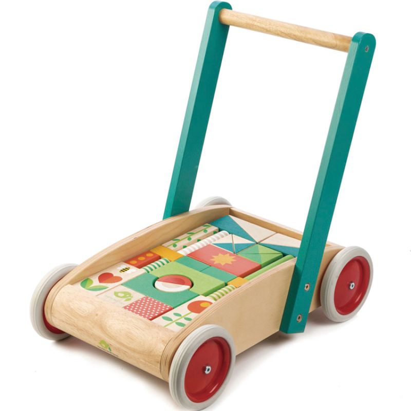 Chariot de marche avec blocs de construction Tender Leaf