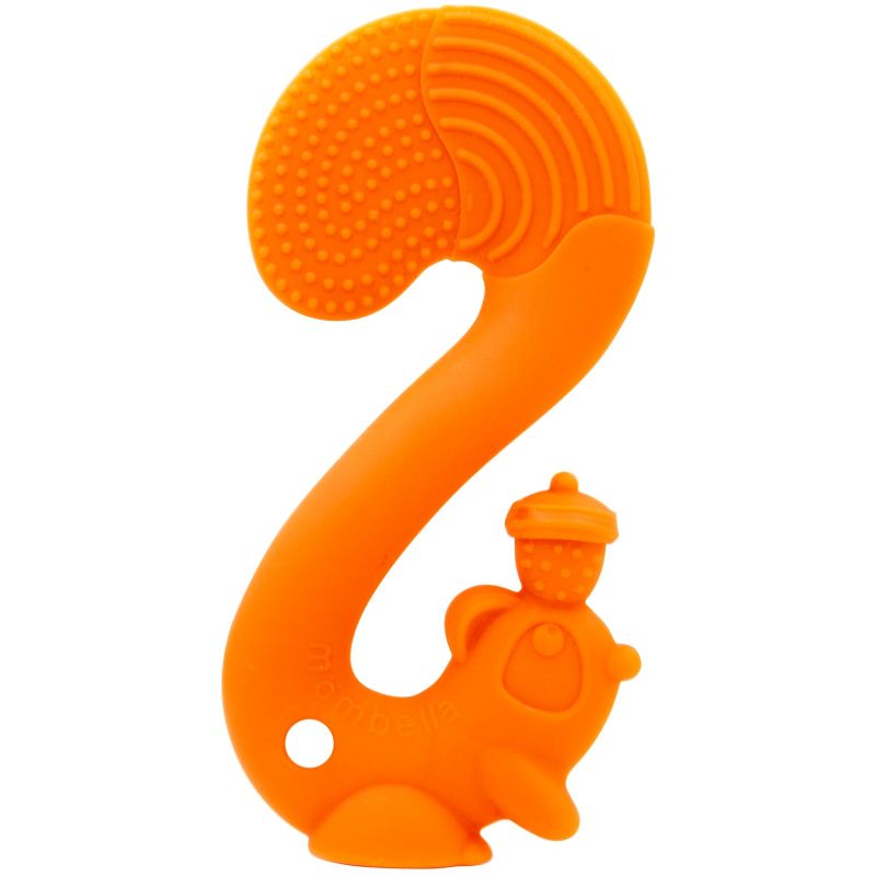 Ecureuil de dentition orange Baby to Love