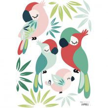 Planche de stickers A3 de perroquets  par Lilipinso