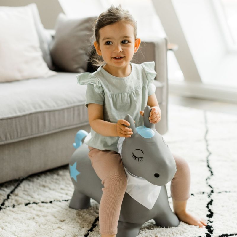 Ballon sauteur Poney Kindsgut Ambiance 2