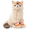 Peluche Dolly le Ragdoll (32 cm) BT Chaps Produit 1