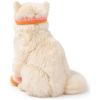 Peluche Dolly le Ragdoll (32 cm) BT Chaps Produit 5