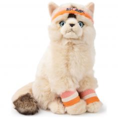 Peluche Dolly le Ragdoll (32 cm) - BT Chaps