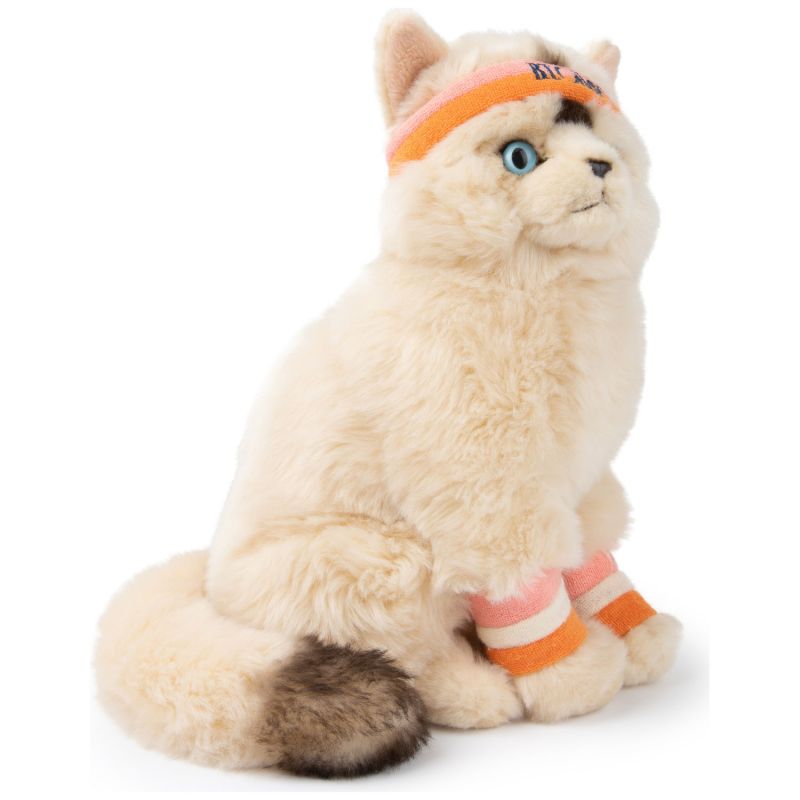 Peluche Dolly le Ragdoll (32 cm) BT Chaps Produit 4