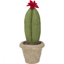 Décoration à poser Cactus Roi (22 x 60 cm)  par Kids Depot