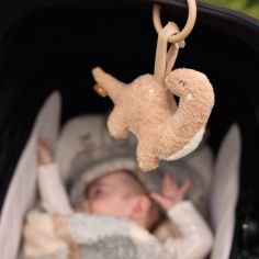 Jouet d'activités à suspendre Roarsome