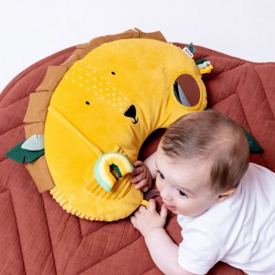 Coussin d'activités Mr. Lion