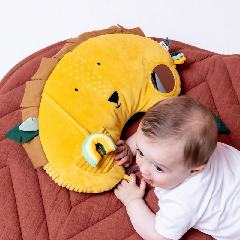 Coussin d'activités Mr. Lion Trixie Ambiance 2