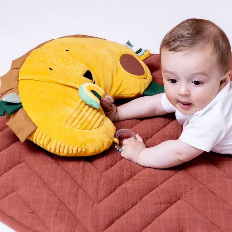 Coussin d'activités Mr. Lion Trixie Ambiance 4
