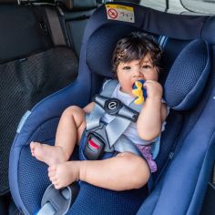 Clip de sécurité pour harnais