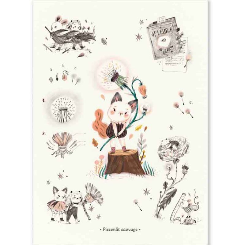 Affiche Pissenlit sauvage Après la pluie (50 x 70 cm) Moulin Roty