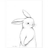 Affiche lapin de face (30 x 40 cm)