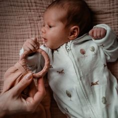 Doudou de dentition Leaf Rose