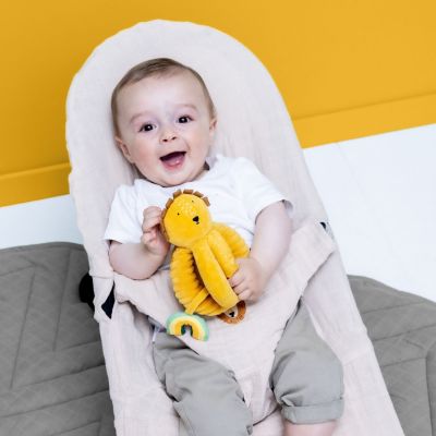 Balle de préhension Mr. Lion