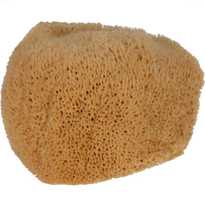Eponge de mer naturelle Cotton&Sweets