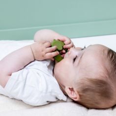 Anneau de dentition réfrigérant Mr. Dino