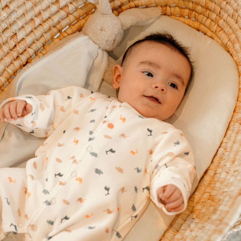 Lot de 2 pyjamas Velours Dino (3 mois) Noukie's Ambiance 2