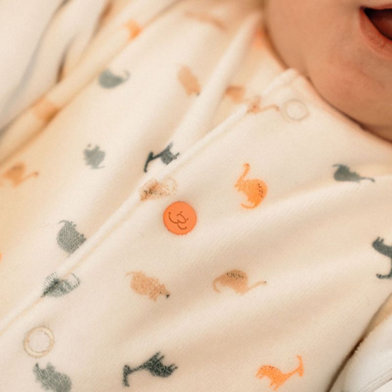 Lot de 2 pyjamas Velours Dino (3 mois) Noukie's Ambiance 7