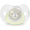 Lot de 2 sucettes symétriques SXPro Wild&Free Night and Day Gris (6-18 mois) Suavinex Produit 5
