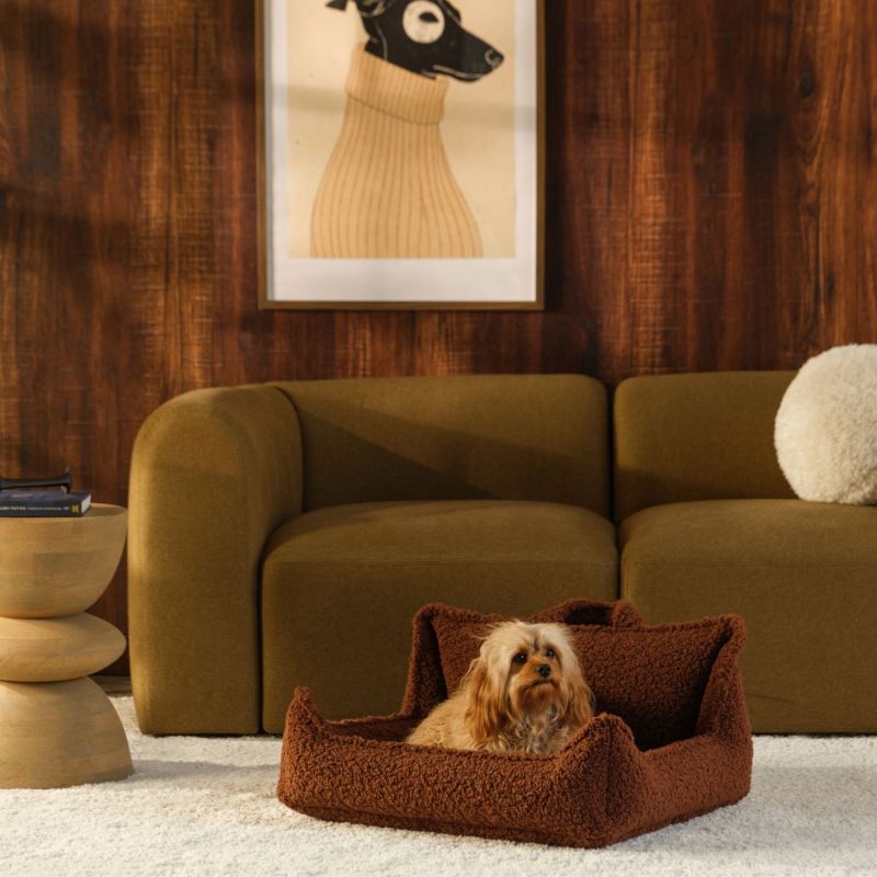 Fauteuil pour animaux M Warm Hazel Wigiwama Ambiance 2