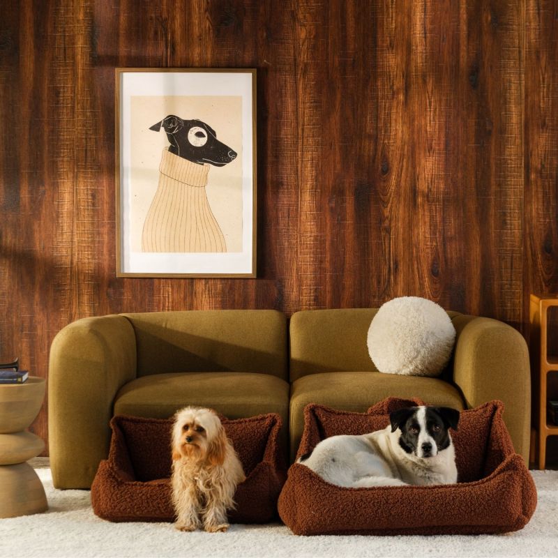 Fauteuil pour animaux M Warm Hazel Wigiwama Ambiance 3