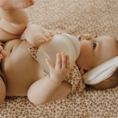 Lange Gaze Léopard (105 x 105 cm)