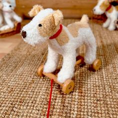 Eliot le chien à tirer