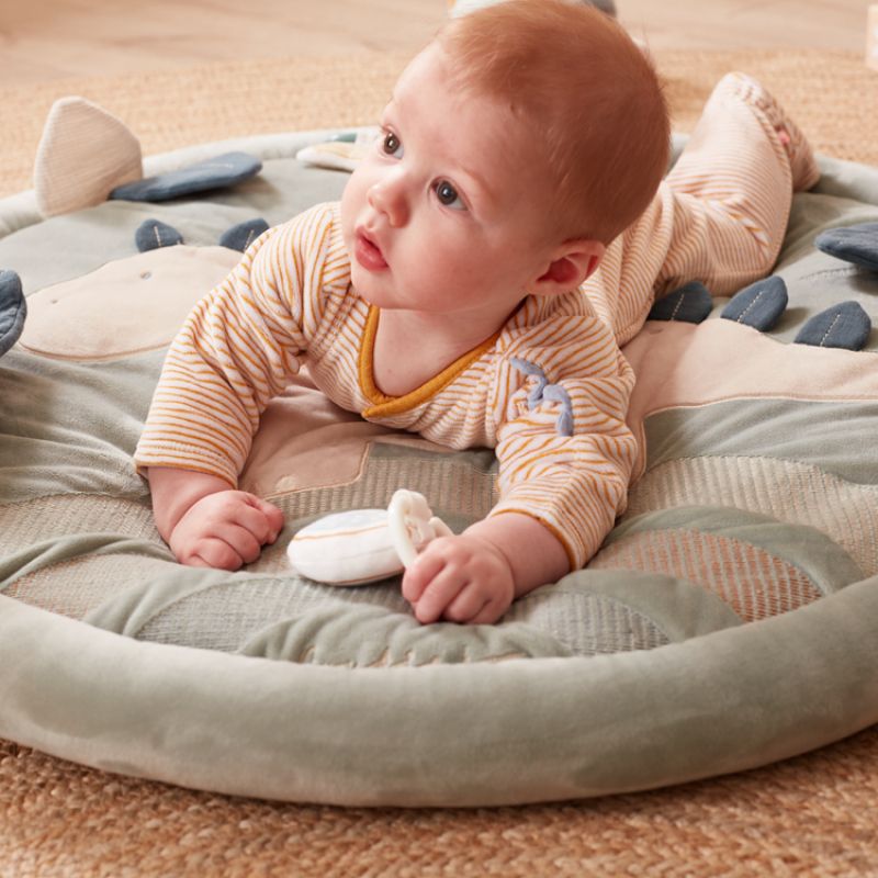 Tapis d'éveil avec arches Stegi Noukie's Ambiance 5