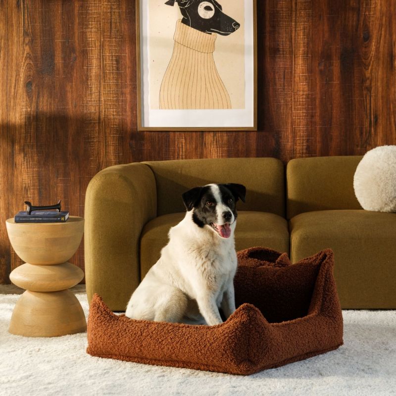 Fauteuil pour animaux L Warm Hazel Wigiwama Ambiance 2