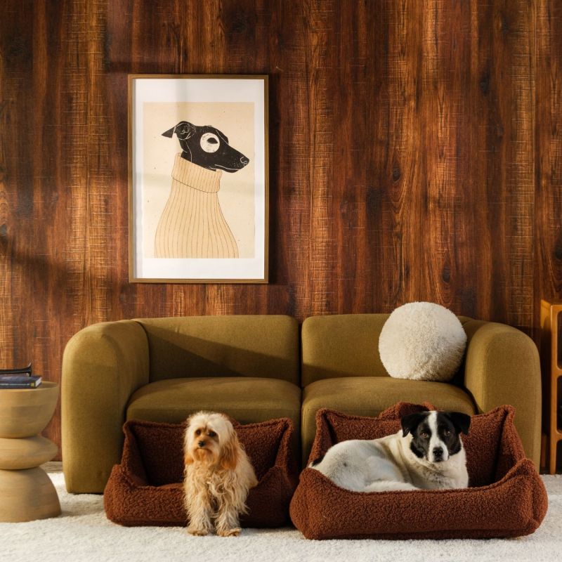 Fauteuil pour animaux L Warm Hazel Wigiwama Ambiance 3