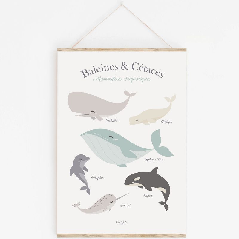 Affiche A3 Baleine et cétacés avec support Lutin Petit Pois