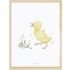 Affiche encadrée caneton Little duck (30 x 40 cm) - Lilipinso