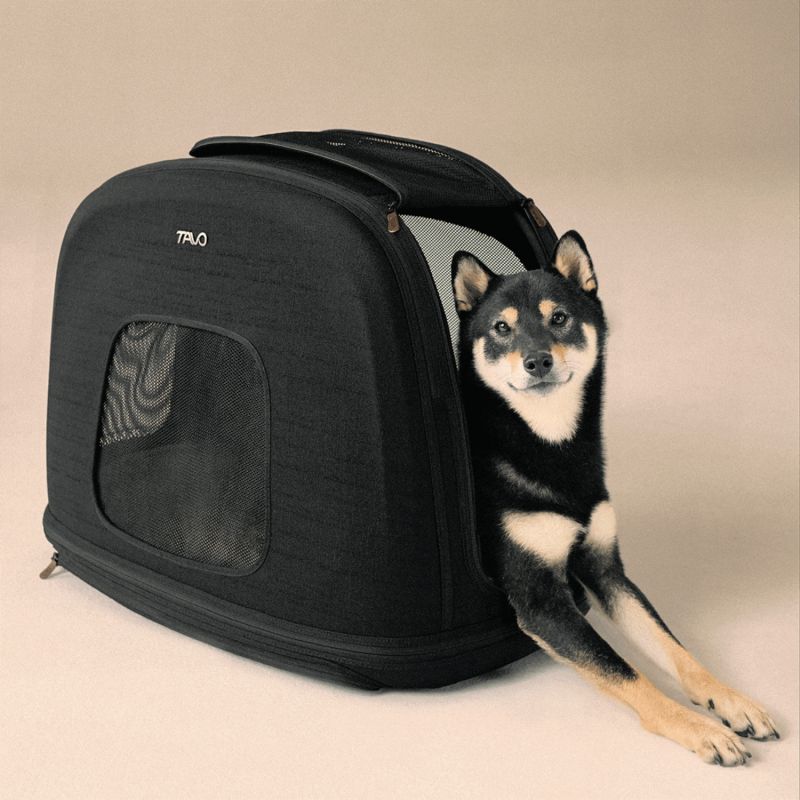 Caisse de transport pour animaux de compagnie CRISPIN M ONYX (jusqu'à 24,9 kg) Tavo Ambiance 1
