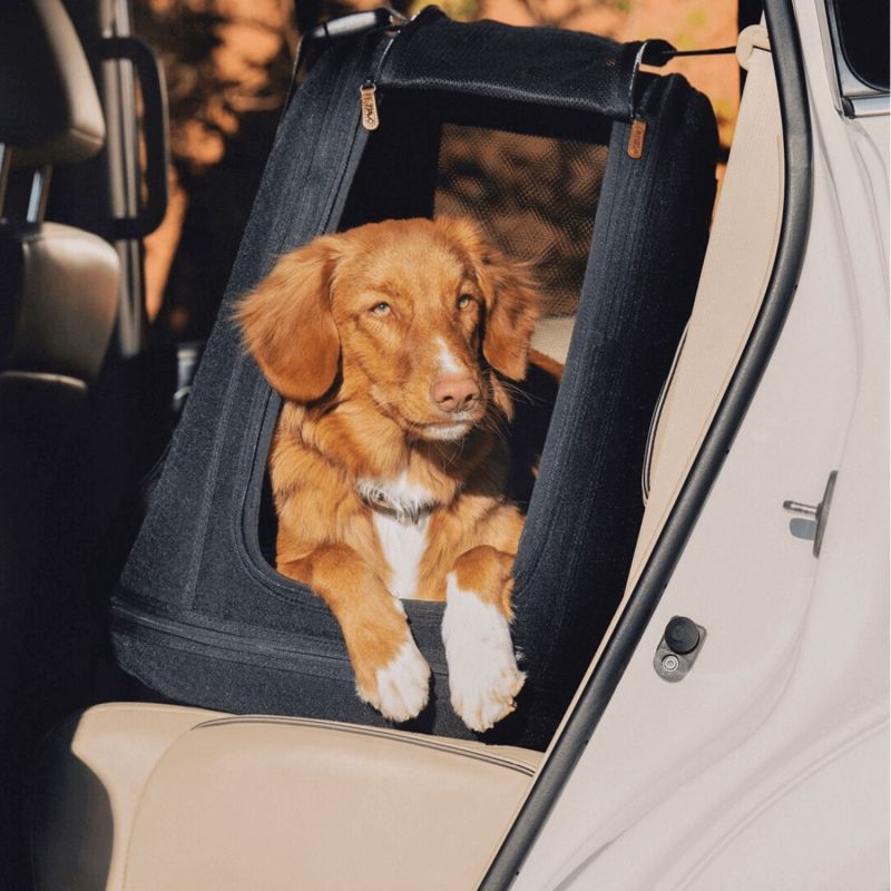 Caisse de transport pour animaux de compagnie CRISPIN M ONYX (jusqu'à 24,9 kg) Tavo Ambiance 6