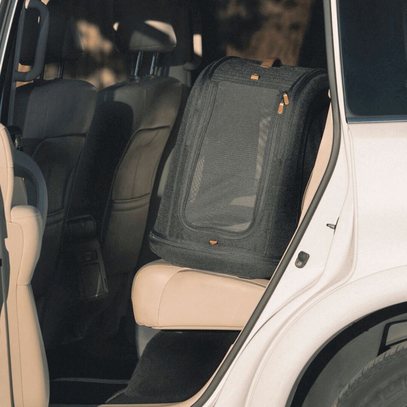 Caisse de transport pour animaux de compagnie CRISPIN M ONYX (jusqu'à 24,9 kg) Tavo Ambiance 7