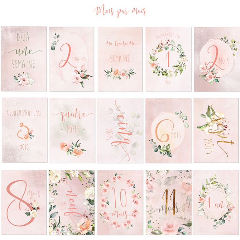 Cartes étapes de bébé Ma première année rose (15 cartes) Spiritus Naturae