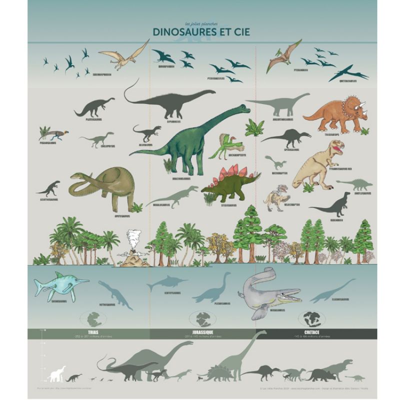 Planche Dinosaures et Cie illustrée (60 x 80 cm) les jolies planches