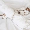 Drap housse bébé en coton bio blanc (60 x 120 cm)  par Domiva