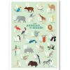 Abécédaire des animaux du monde fond vert (A3) - Papier Curieux
